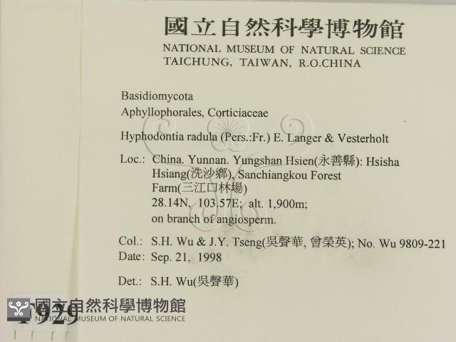 登錄號:F0009294藏品圖，第2張