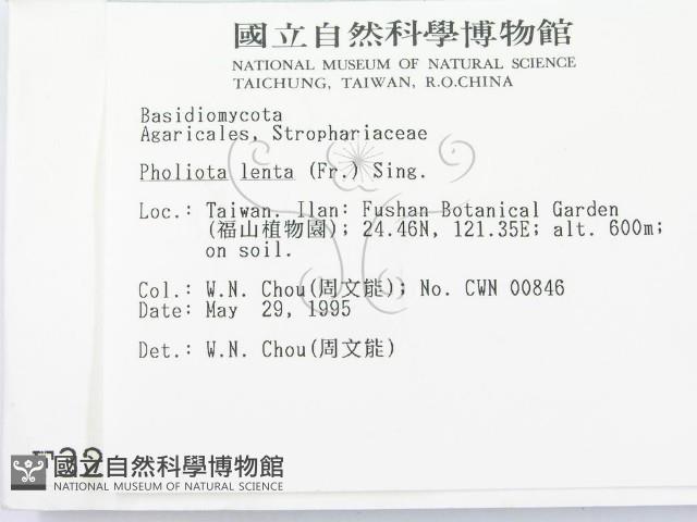 登錄號:F0003294藏品圖，第2張