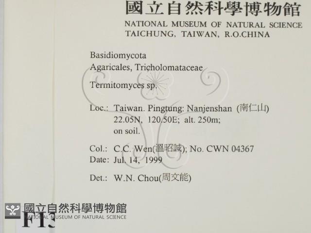 登錄號:F0013294藏品圖，第2張