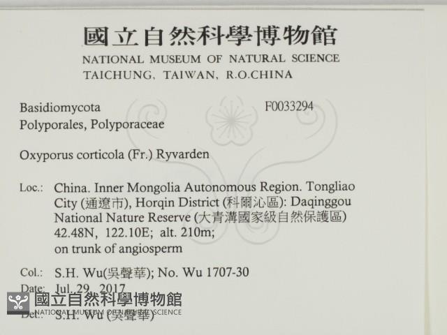 登錄號:F0033294藏品圖，第2張