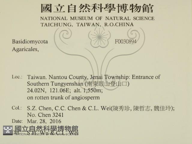 登錄號:F0030894藏品圖，第2張