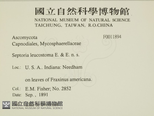 登錄號:F0011894藏品圖，第2張