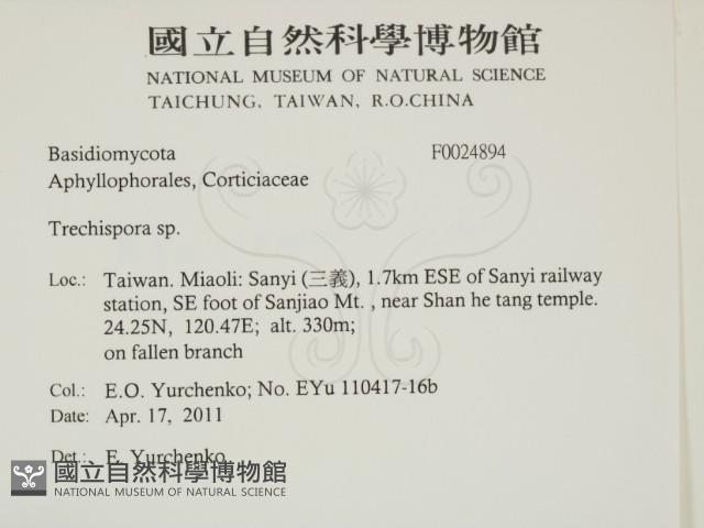 登錄號:F0024894藏品圖，第2張