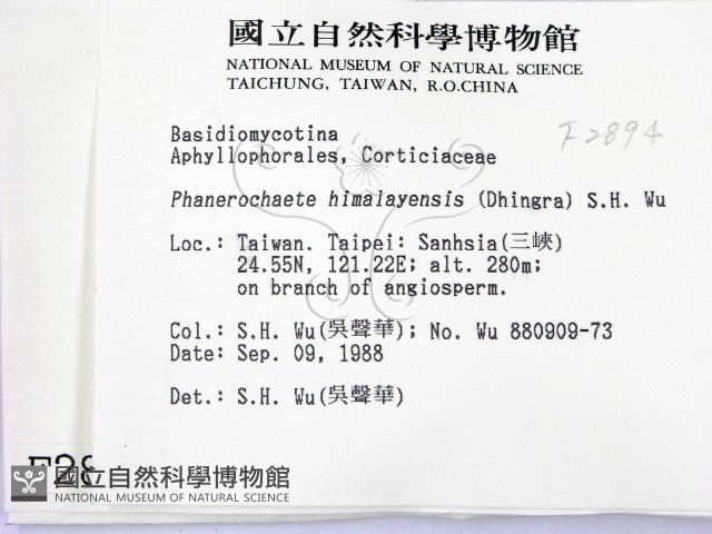 登錄號:F0002894藏品圖，第2張