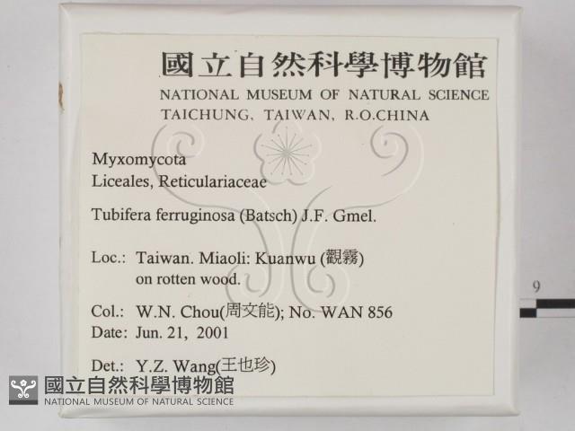 登錄號:F0012894藏品圖，第2張