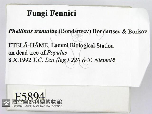 登錄號:F0005894藏品圖，第2張