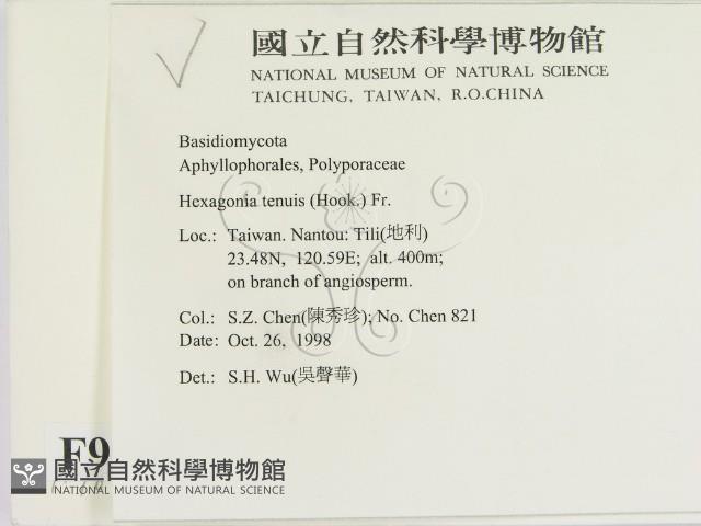 登錄號:F0009894藏品圖，第2張