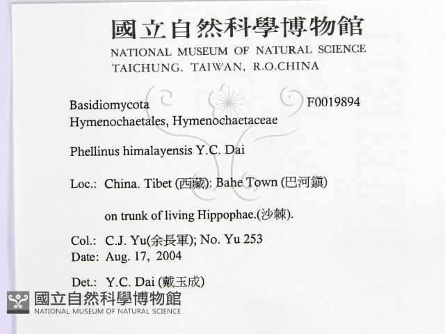 登錄號:F0019894藏品圖，第2張