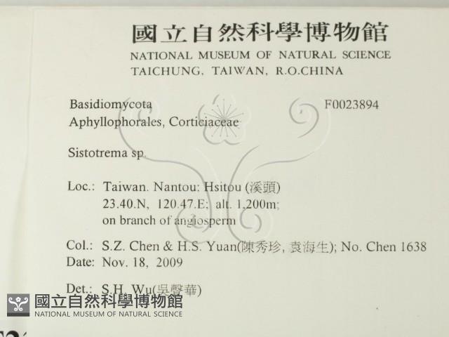 登錄號:F0023894藏品圖，第2張