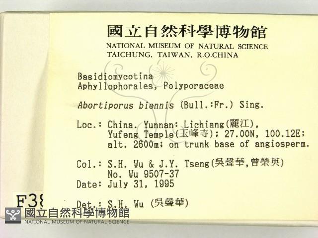 登錄號:F0003894藏品圖，第2張