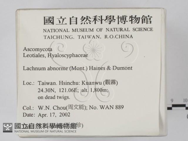 登錄號:F0013894藏品圖，第2張