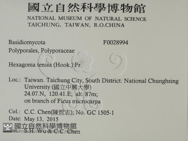 登錄號:F0028994藏品圖，第2張