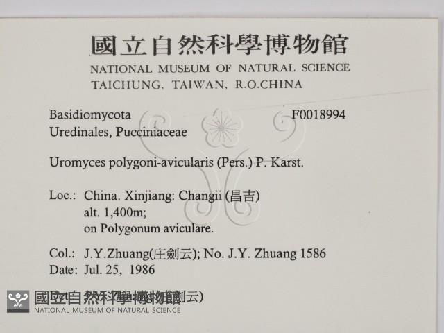 登錄號:F0018994藏品圖，第2張