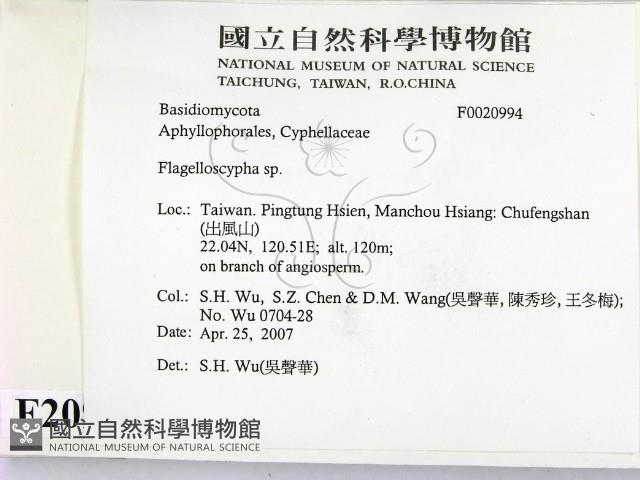 登錄號:F0020994藏品圖，第2張
