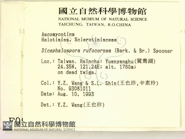 登錄號:F0000994藏品圖，第2張