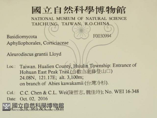 登錄號:F0030994藏品圖，第2張