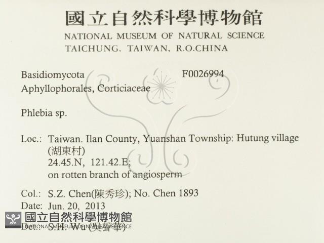 射脈菌屬藏品圖，第2張