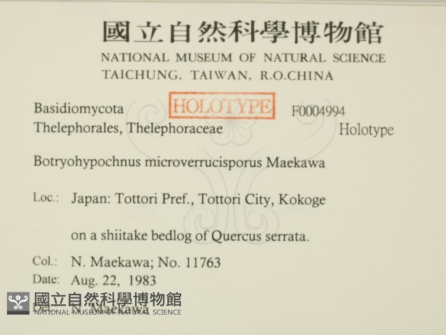 登錄號:F0004994藏品圖，第2張