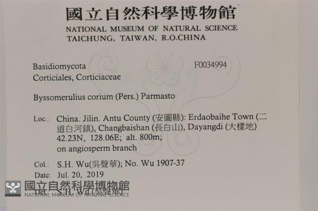 登錄號:F0034994藏品圖，第2張
