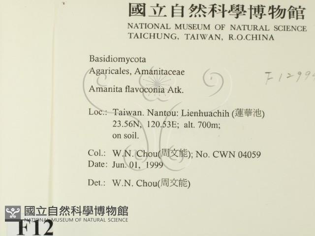 登錄號:F0012994藏品圖，第2張