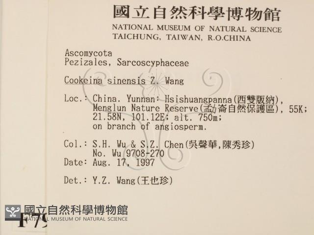 登錄號:F0007994藏品圖，第2張