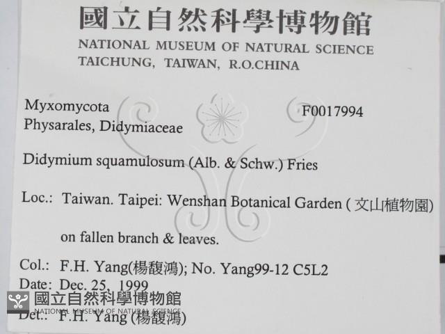 登錄號:F0017994藏品圖，第2張