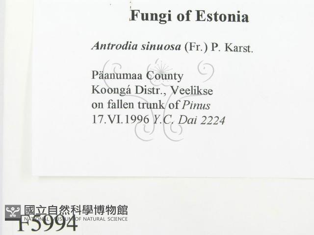 登錄號:F0005994藏品圖，第2張