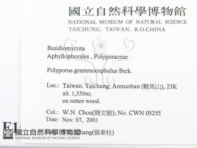 登錄號:F0015994藏品圖，第2張