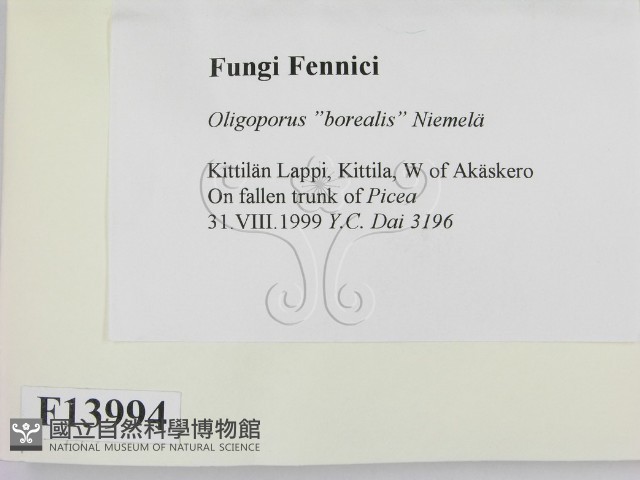 登錄號:F0013994藏品圖，第2張