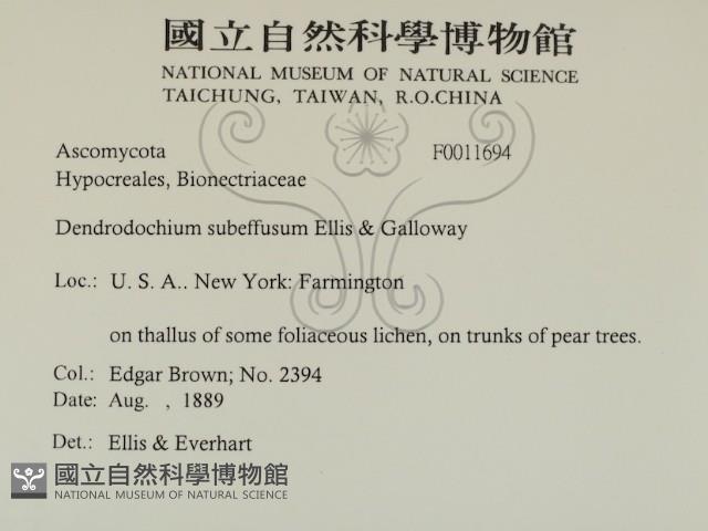 登錄號:F0011694藏品圖，第2張