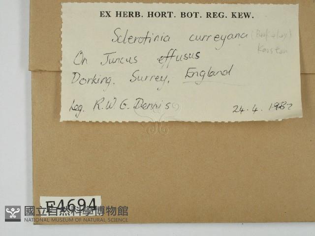 登錄號:F0004694藏品圖，第2張