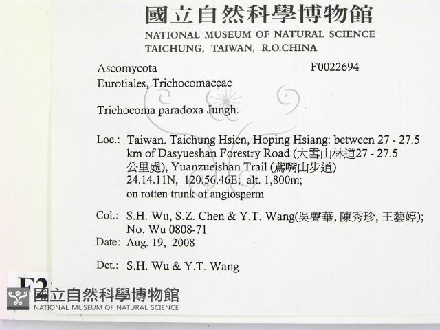 登錄號:F0022694藏品圖，第2張