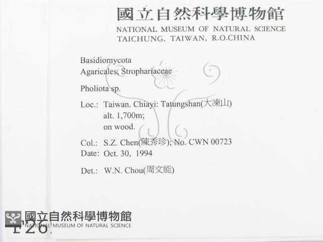 登錄號:F0002694藏品圖，第2張