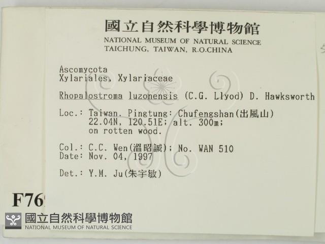 登錄號:F0007694藏品圖，第2張