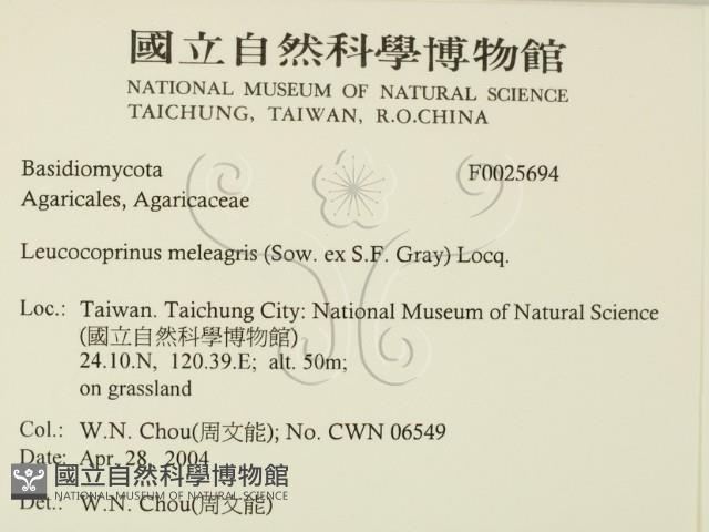 登錄號:F0025694藏品圖，第2張