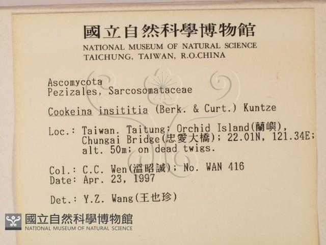 登錄號:F0005694藏品圖，第2張