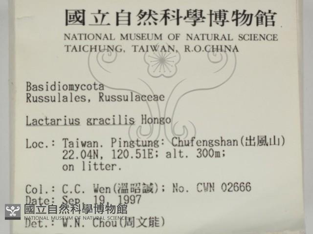 登錄號:F0009694藏品圖，第2張