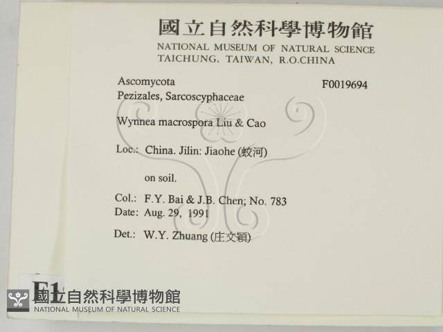 登錄號:F0019694藏品圖，第2張