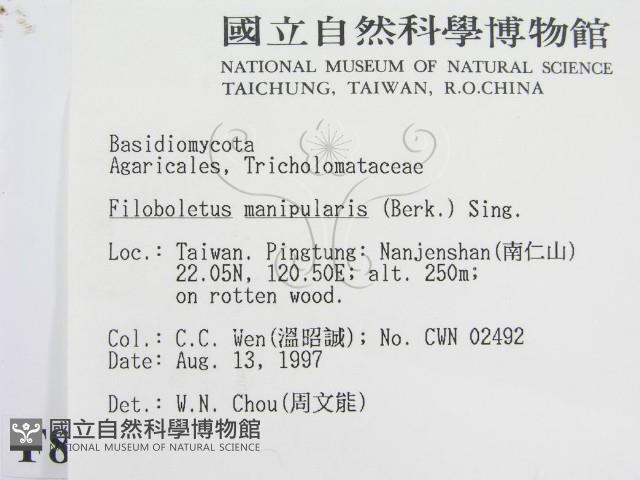 登錄號:F0008494藏品圖，第2張