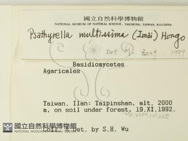 登錄號:F0000494藏品圖，第2張