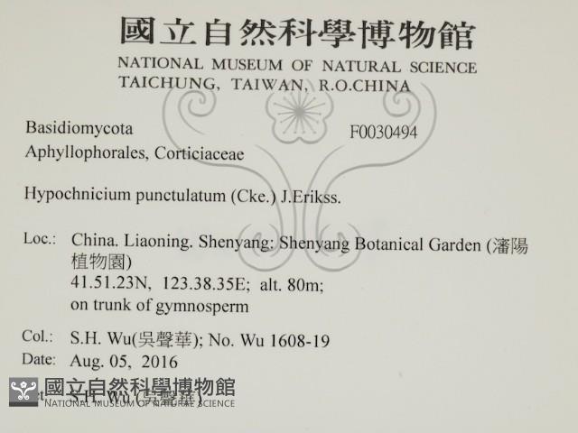 登錄號:F0030494藏品圖，第2張