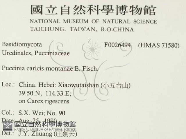 登錄號:F0026494藏品圖，第2張