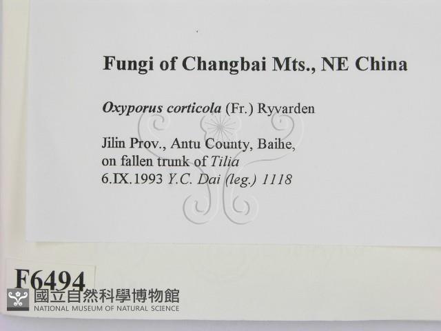 登錄號:F0006494藏品圖，第2張