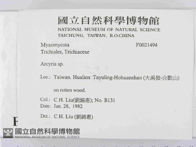 登錄號:F0021494藏品圖，第2張