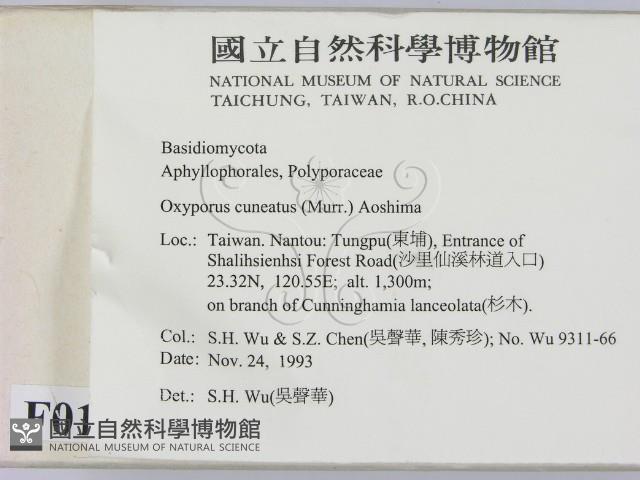 登錄號:F0001494藏品圖，第2張