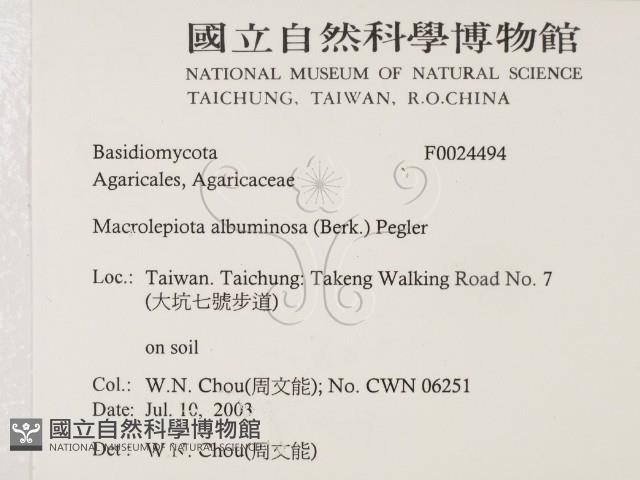 登錄號:F0024494藏品圖，第2張
