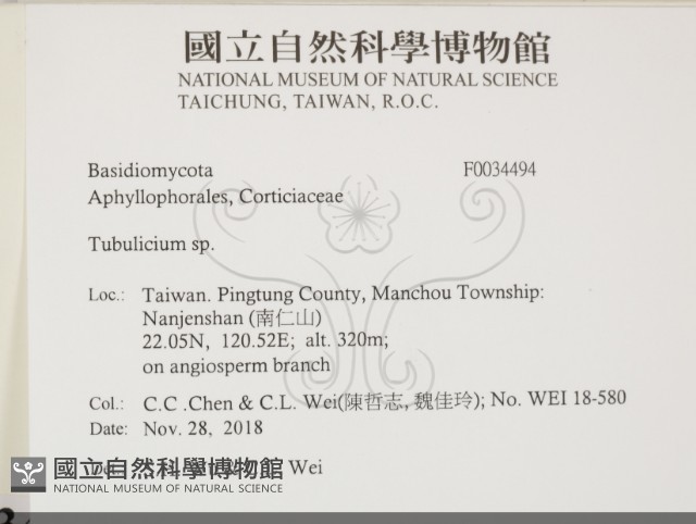 登錄號:F0034494藏品圖，第2張