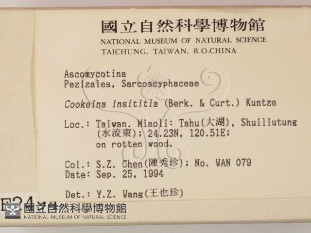 登錄號:F0002494藏品圖，第2張