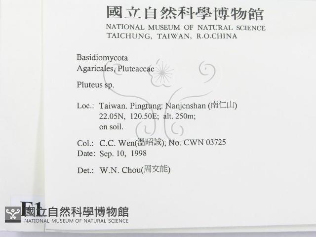 登錄號:F0012494藏品圖，第2張