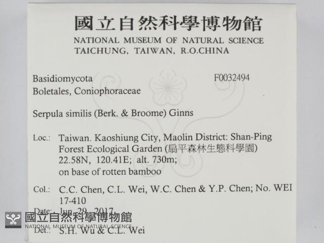 登錄號:F0032494藏品圖，第2張